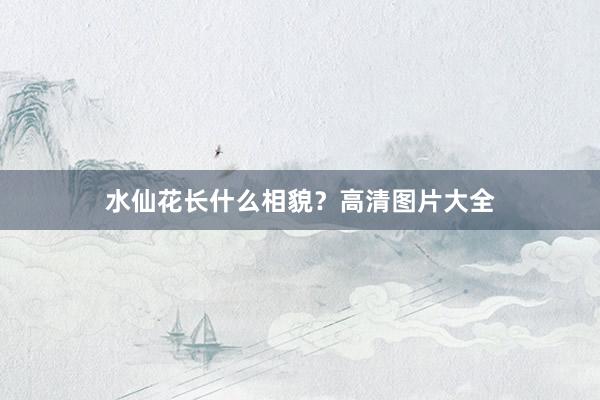 水仙花长什么相貌？高清图片大全
