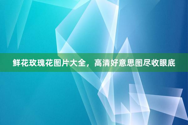 鲜花玫瑰花图片大全，高清好意思图尽收眼底