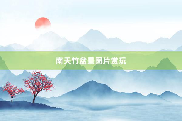 南天竹盆景图片赏玩