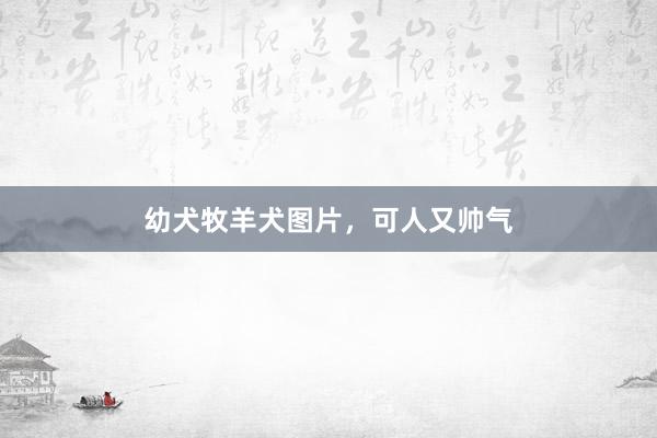 幼犬牧羊犬图片，可人又帅气