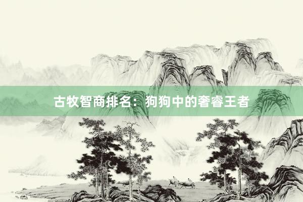 古牧智商排名：狗狗中的奢睿王者