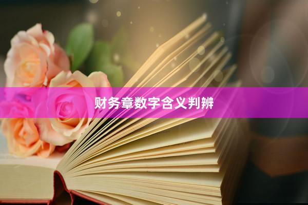 财务章数字含义判辨